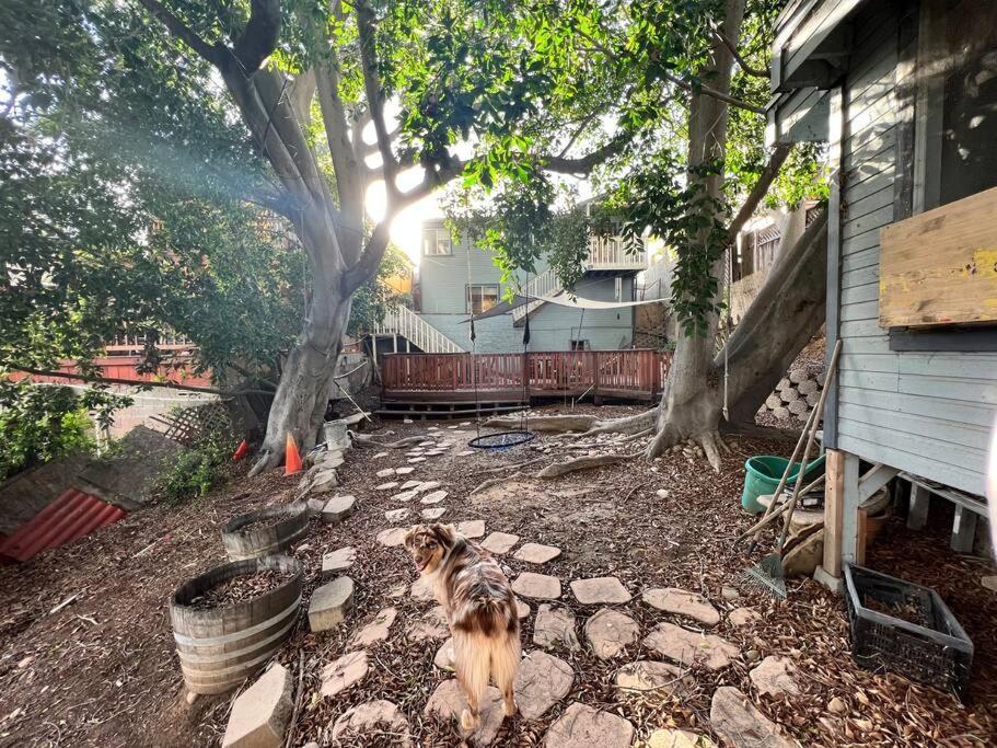 Central San Diego Lower Duplex, Huge Yard, Fenced Экстерьер фото